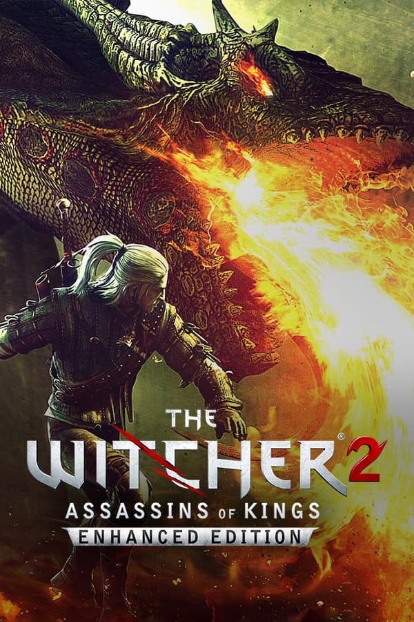 The Witcher 2: Assassins of Kings key art